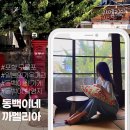 [경북 포항]구룡포 일본 가옥거리 주차장, 까멜리아 카페 동백 후기(feat.추억상회 까불이)