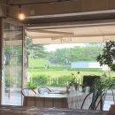 놀숲만화카페 이미지