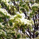 물들어간다는 것은 이미지