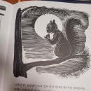 꼬마랜드