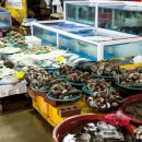 대천항종합수산물시장 이미지