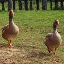 보건환경연구원 별관 이미지