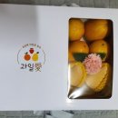 과일애제주