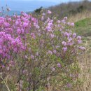 인숙농장 이미지