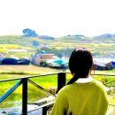 청산빌리지펜션 이미지