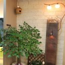 연세허브치과의원 이미지