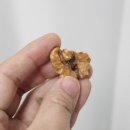 국씨네푸드