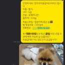 올라펫살롱 이미지