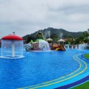 다가온 수영장 이미지