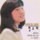 정수라 카카오 검색결과