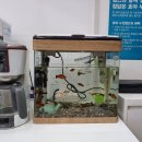 선산대로-39 | 웨이브포인트 슬림어항LED라인조명/구피/새우/수초/밝기도 좋습니다.