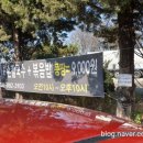 구좌리얼크니손칼국수 이미지