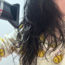 2200 | 헤어드라이어추천 디자이너스 DG2200 드라이기 사용후기