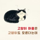 리본이 살랑살랑 | 서진영 (지은이) | 다그림책(키다리) 이미지