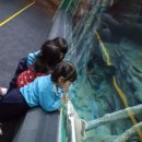 아림월드 이미지