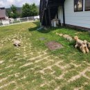 글램독 경주 A동 이미지