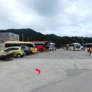 흑산면보건지소 Daum카페