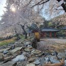 남해군서면중현보건진료소 이미지