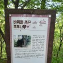 대전-계족산,황톳길(장동산림욕장-계족산성-성재산-임도삼거리-장동산림욕장) 이미지
