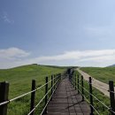 한우목장 이미지