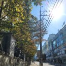 병점동 지석묘(고인돌) 이미지