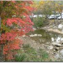 대관령목장 이미지