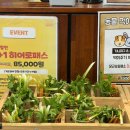 리틀히어로ZOO | 양산 리틀히어로zoo 후기｜7개월 아기랑 오슬로파크 실내 동물체험 솔직리뷰 (가격·외부음식 정보)