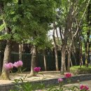 여유로이 - 거제시 양정1길 12 | 여유로이