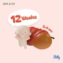 은우네짜글이 | [임신] 12주 이대서울 니프티 성별, 12주차 몸무게 아기크기 피고임, 임산부 독감주사, 임신초기 장거리...