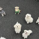 독가짐 네이버블로그