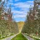 대구경북능금농업협동조합 이미지