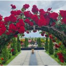 곡성-116 이미지