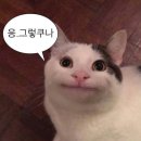 어흥막회집