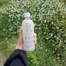 케이웰 | 식후차는 케어웰 트리플 하루당차 일 수밖에 없네요