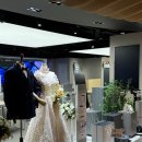 김종호한의원 | 혼수전국 1등 삼성스토어 롯데본점 프리오픈 행사에서 가전 졸업!한 솔직 후기 (feat. 김종호 매니저님)