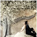 스튜디오21 이미지