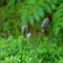 철길농장 이미지