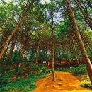 장기쉼터 앞 이미지