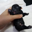 홈브리딩 이미지