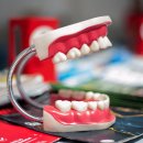 유림치과병원 이미지