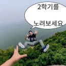 자체휴강의 효능