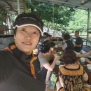 느티나무민박2 이미지