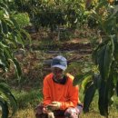 필수농장 이미지