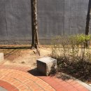 반올림피자샵이태원점 | 다섯 번째, 일상