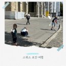 로잔호텔 | 스위스 로잔 여행｜대성당·전망대·맛집까지 반나절 완벽 일정