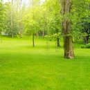 홈패션&홈스타일링 이미지