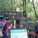 공주공원 공주공원 주차장 우측 이미지