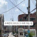 오도도그 이미지
