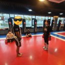 반월태권도아카데미 네이버블로그