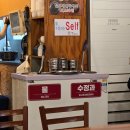 털보고된이 | 털보고된이 본점 고등어구이 A세트 내돈내산 후기